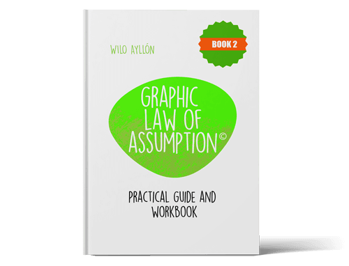 Graphic Law of Assumption: Book 2 — Paperback